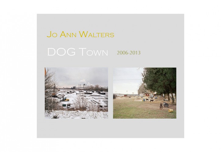 19_dogtown_1000ppi_website_2006-2013